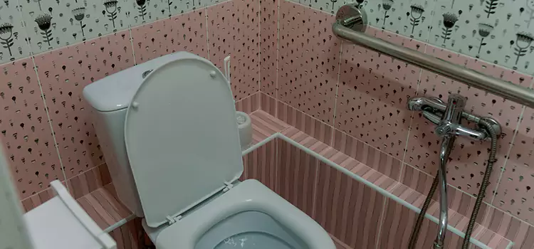 Meeting Diverse Needs With Accessible Restroom Solutions in Florence-Graham, CA