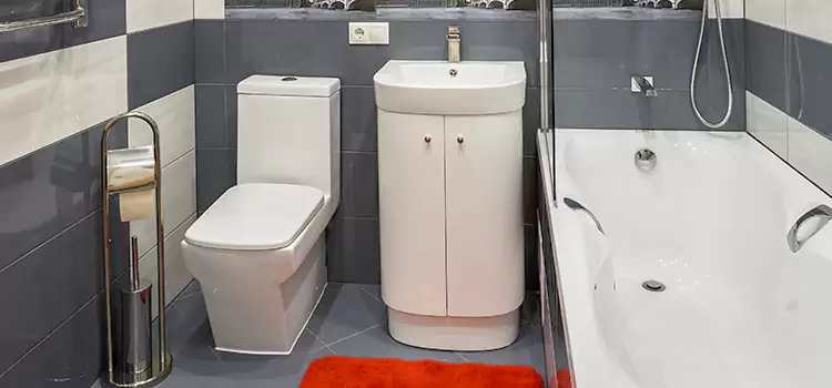 Hansgrohe Shaving Mirror Florence-Graham
